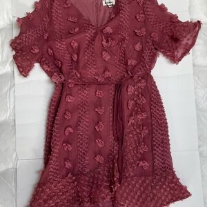 NWT Merci Shake Your Pom Pom Blush dress
